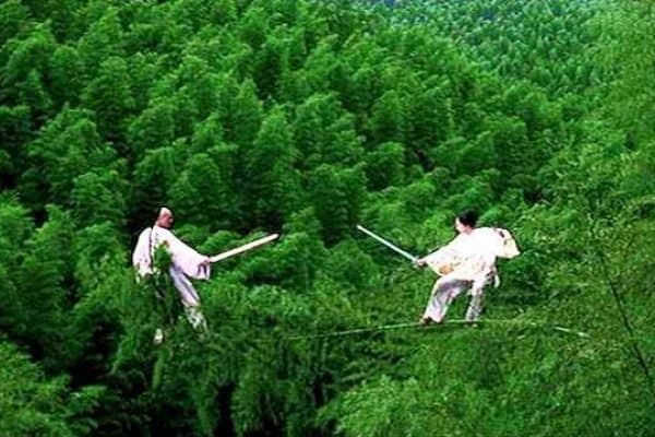 bamboo-forest-tiger-dragon