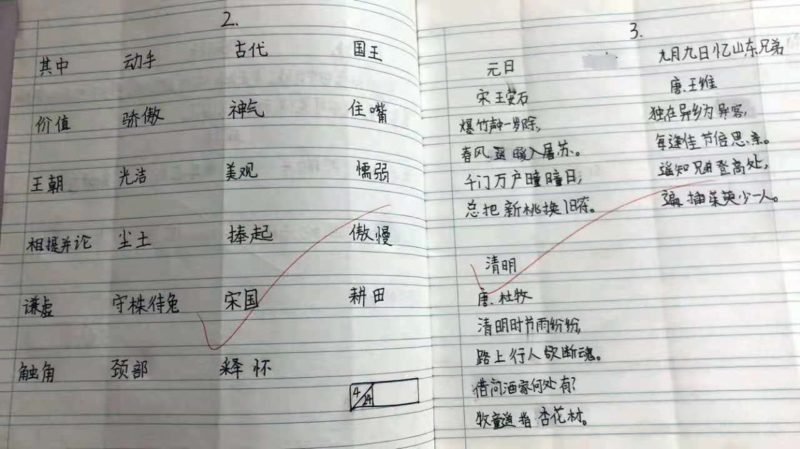 do homework in mandarin do homework in mandarin