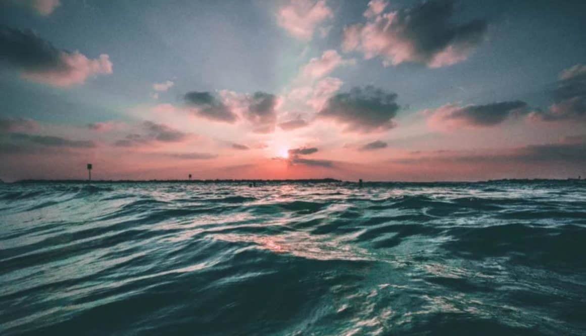 sea copy