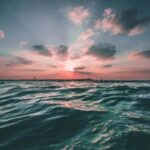 sea copy