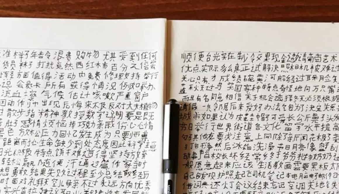 a photo of a book showing Chinese character handwriting