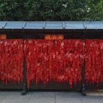 chinese_language_the