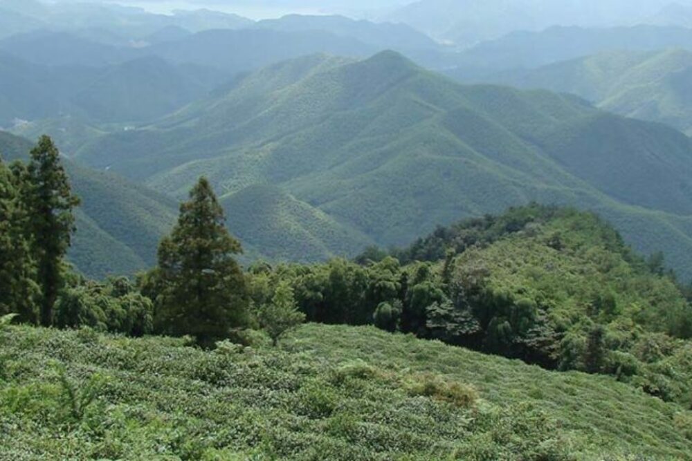 moganshan_img