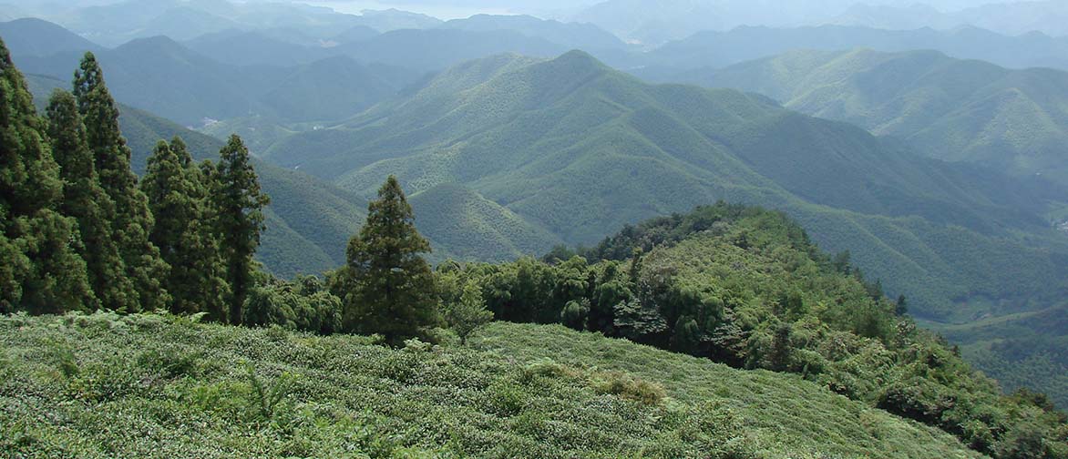 moganshan_img