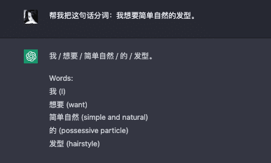 Use ChatGPT to segment Chinese words, asking the question in Chinese 