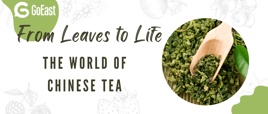 From Leaves to Life- The World of Chinese Tea!