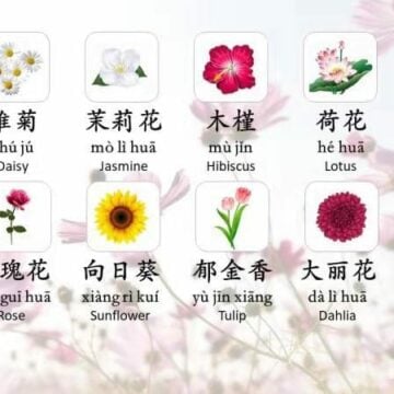 cover image for goeast mandarin's post on how to say fowers in chinese