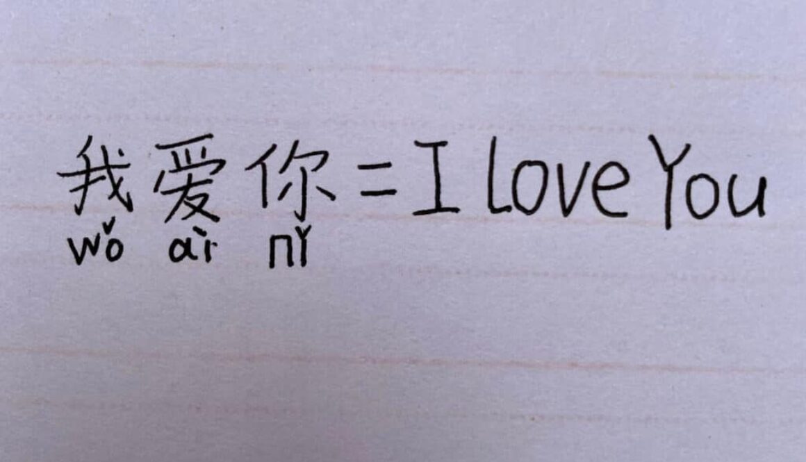 Foundations of the Chinese language