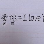 Foundations of the Chinese language