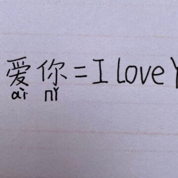 Foundations of the Chinese language