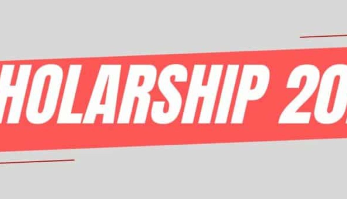 Mandarin Progress Scholarship 2024