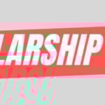 Mandarin Progress Scholarship 2024