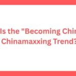 What Is the Becoming Chinese Chinamaxxing Trend